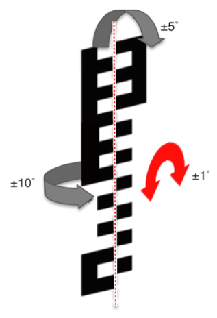 G13305885