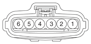 G13307124