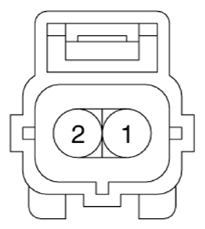 G13307196