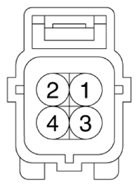 G13310011