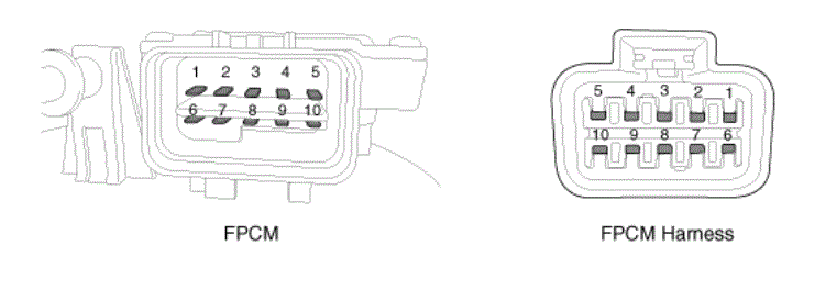 G13310176