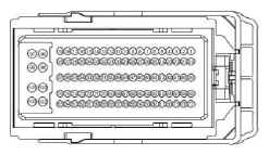 G13340451