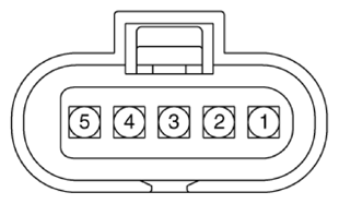 G13348745