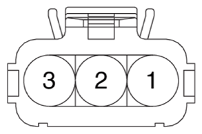 G13348784