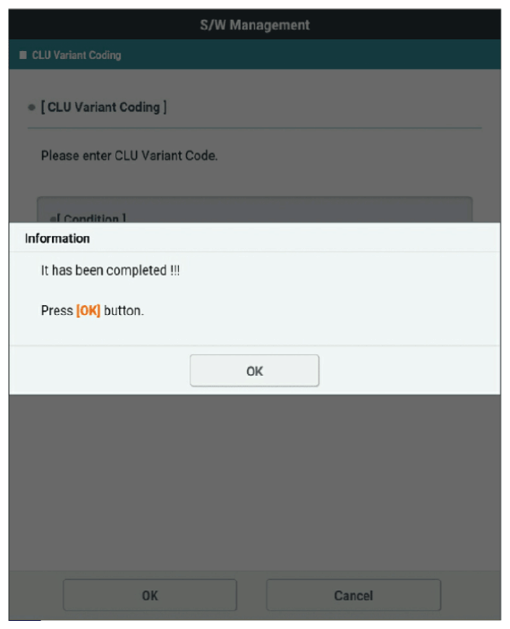 G13354394