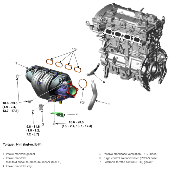 G13361276
