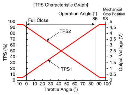 G13361686