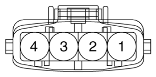 G13361696