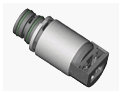 G13362079