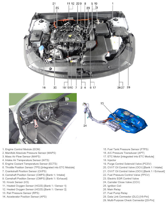 G13388015