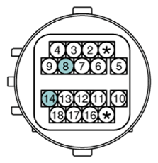 G13388291