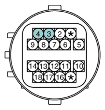 G13388307