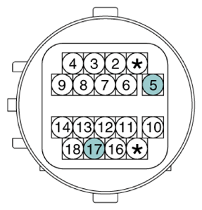 G13388415