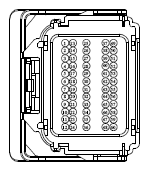 G13402529