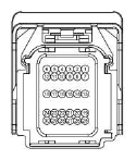 G13402569