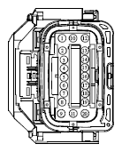 G13419095