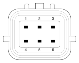 G13428303