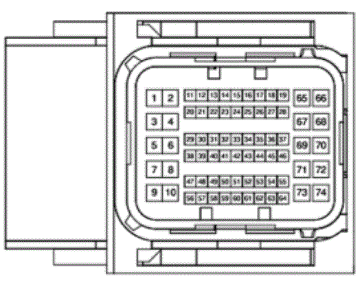 G13428392