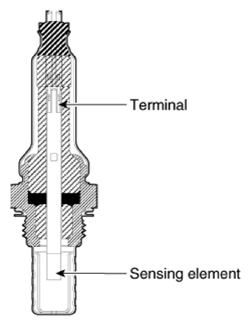 G13436587