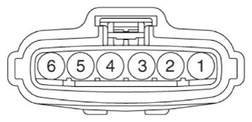 G13483005