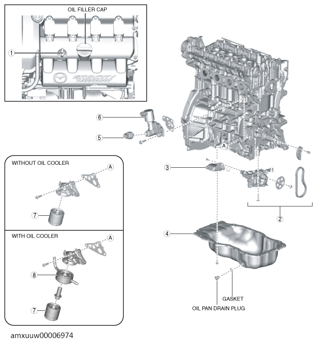 G13488075
