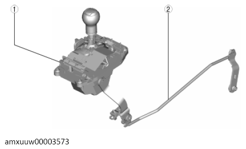 G13489537