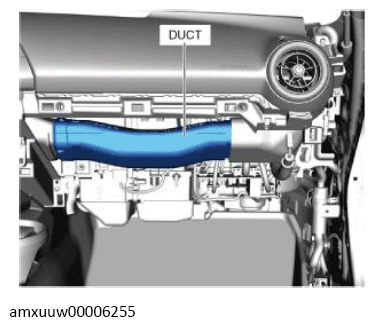 G13491392