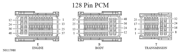 G13533352