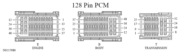 G13533354