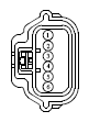 G13533358