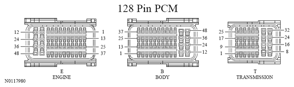 G13533359