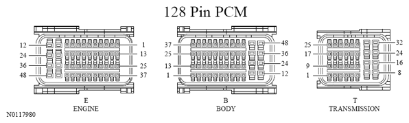 G13533398