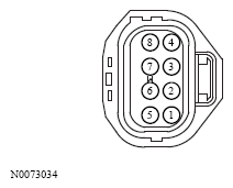G13533646