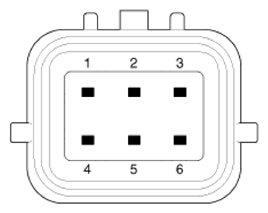 G13539544