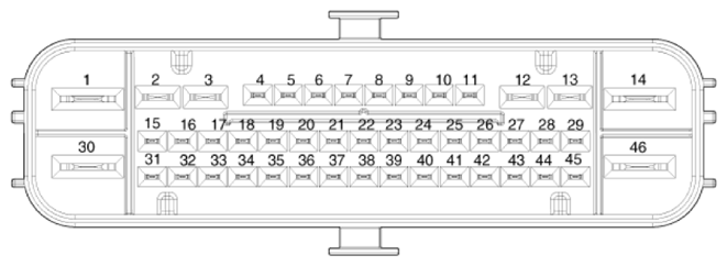 G13541008