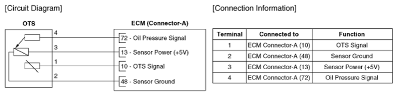 G13543349