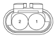 G13543386