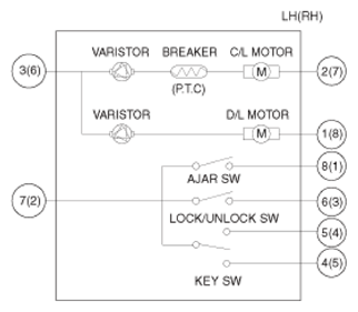 G13543484
