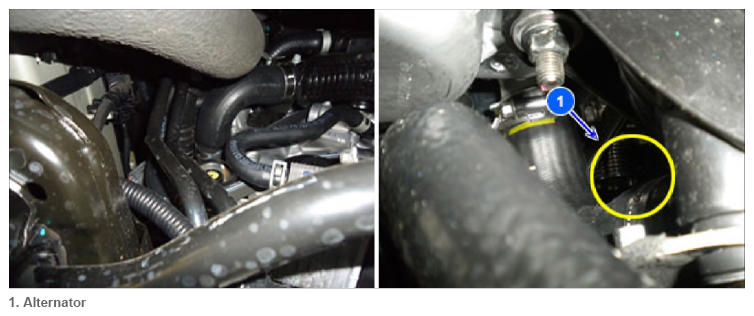 G13546089