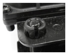 G13547427