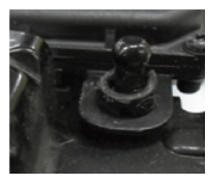 G13547428