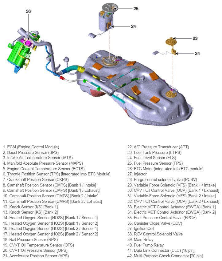 G13547493