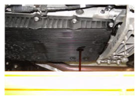 G13547837