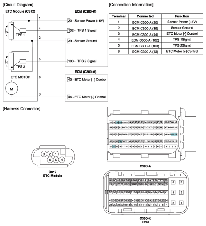 G13551313