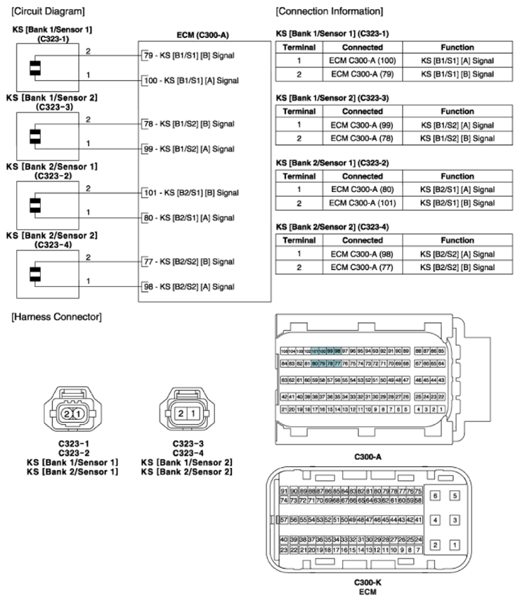 G13551344
