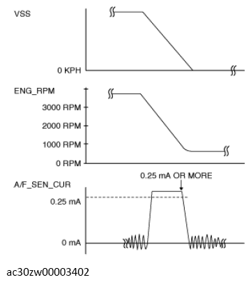 G13557685