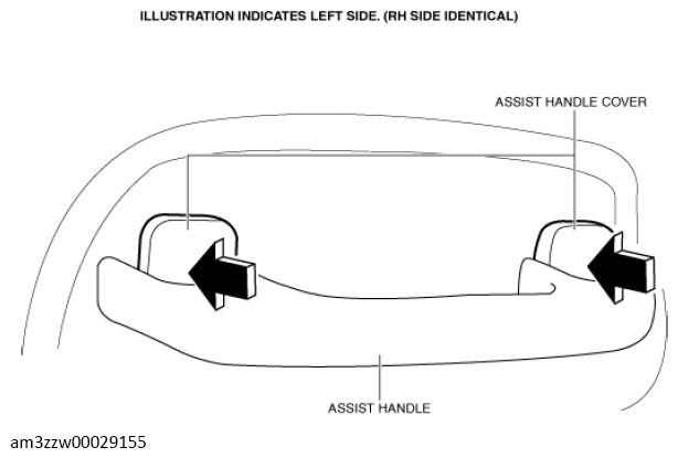 G13560623
