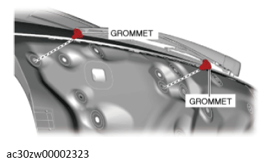 G13560882