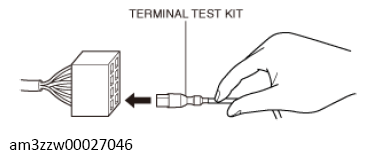 G13561575