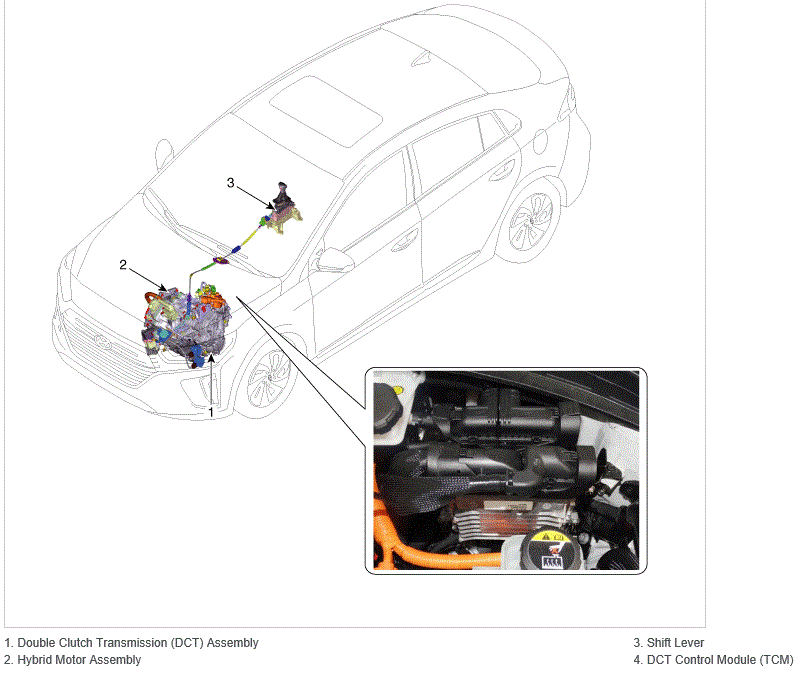G13563305